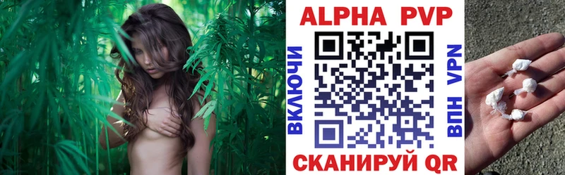 Как найти закладки Кузнецк МДМА  COCAIN  АМФЕТАМИН  Мефедрон  Конопля 