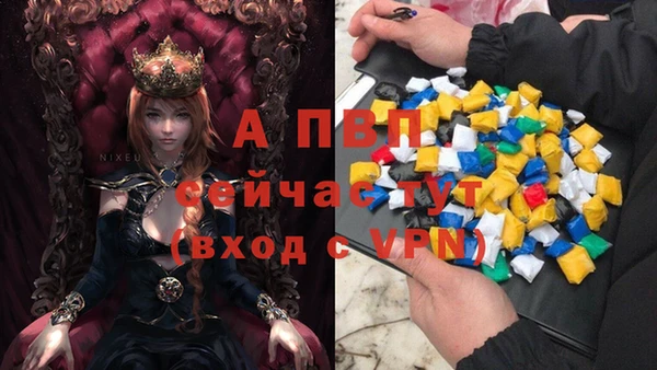 прущий лед Беломорск