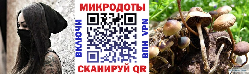 Галлюциногенные грибы ЛСД  купить наркотик  Кузнецк 